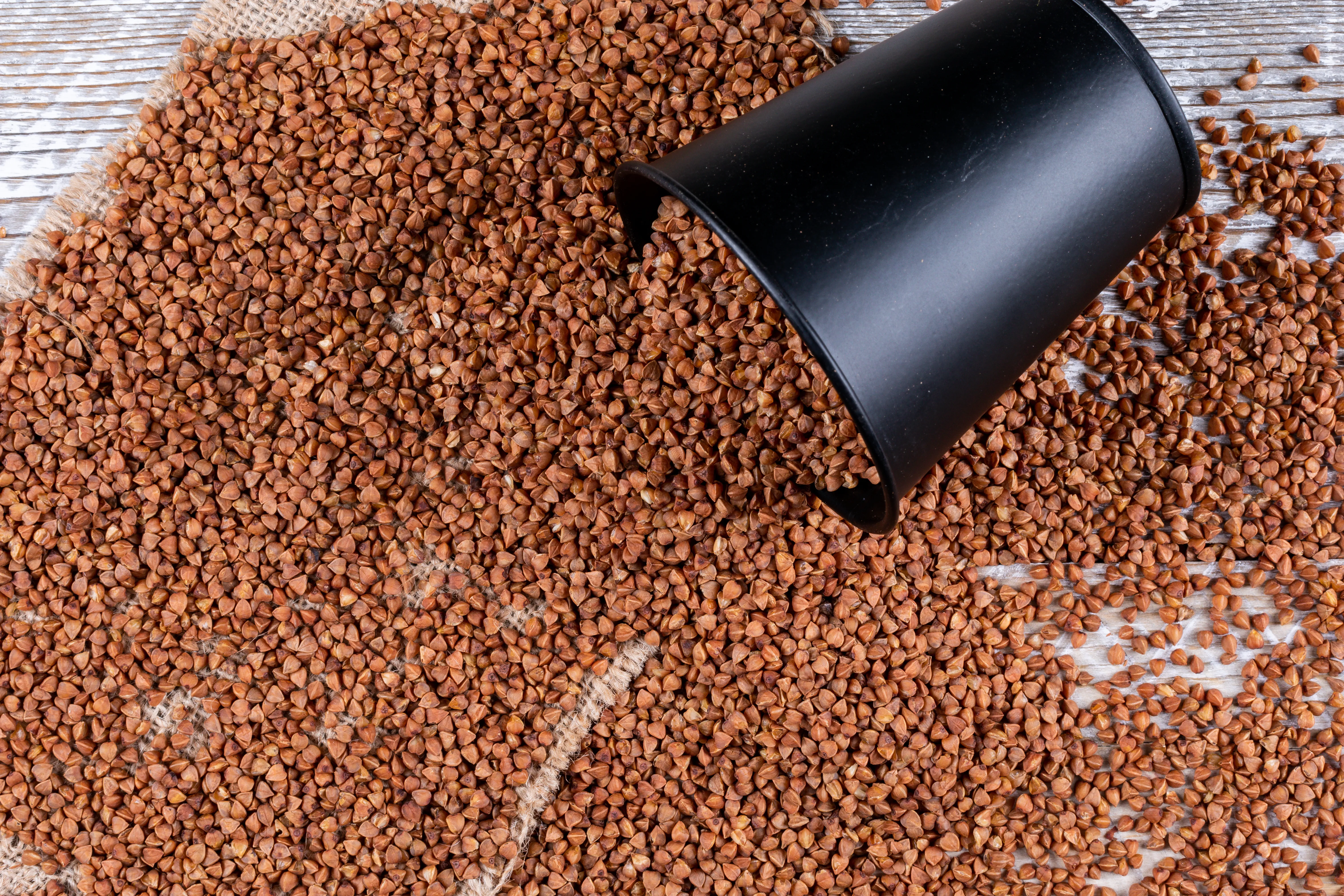 Aquaculture Feed