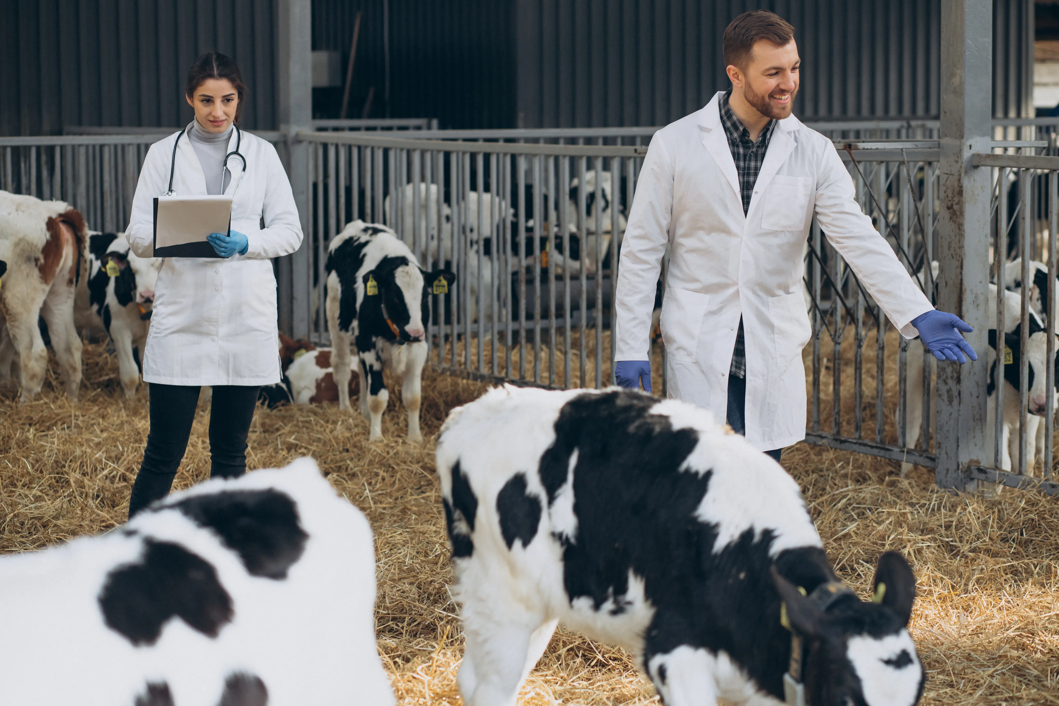 Speciality Livestock Feed
