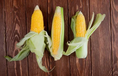 Corn Stalk