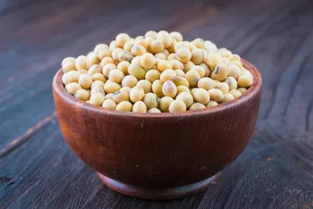 Soybean Meal