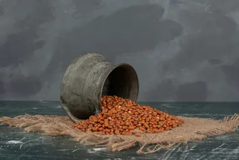 Dry Fish Pellets